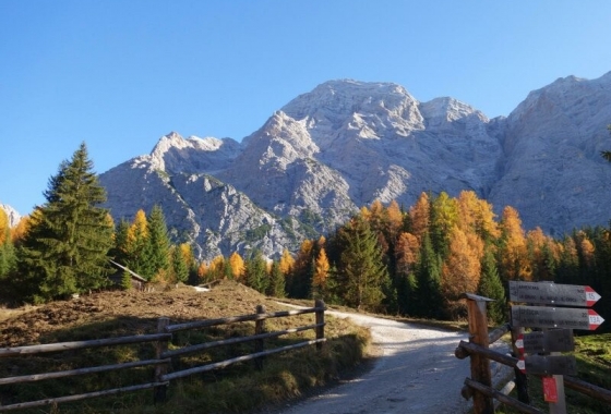 Sale - DuplexApartment - Bolzano - Badia- Alta Badia