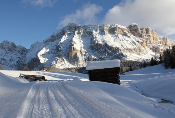 Sale - DuplexApartment - Bolzano - Badia- Alta Badia
