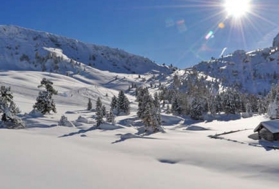 Sale - Apartment - Bolzano - Selva di Val Gardena