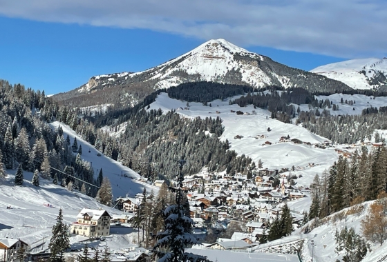 Sale - Apartment - Bolzano - Selva di Val Gardena