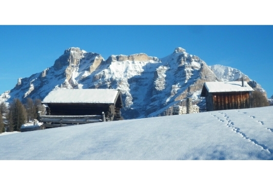 Sale - Apartment - Trento - Valdaora