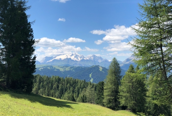 Sale - Penthouse - Bolzano - Corvara-Alta Badia