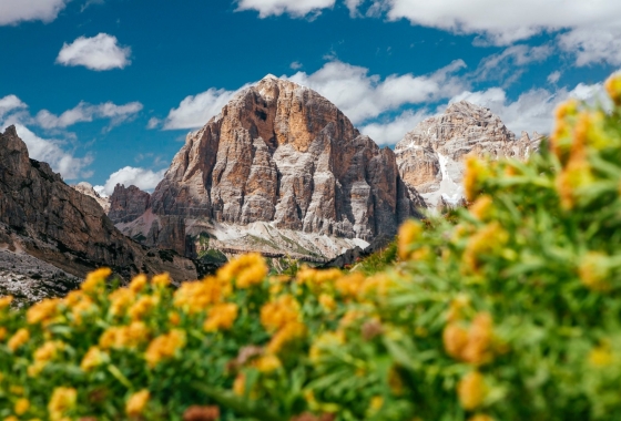 New build - Duplex - Belluno - Cortina di Ampezzo