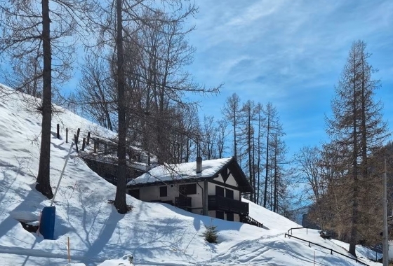 Sale - Chalet - Aosta - Valtournenche