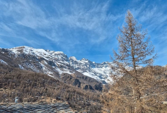 Sale - Chalet - Aosta - Valtournenche