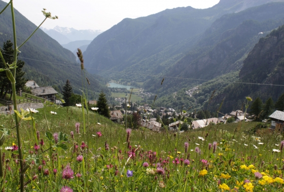 Sale - Chalet - Aosta - Valtournenche