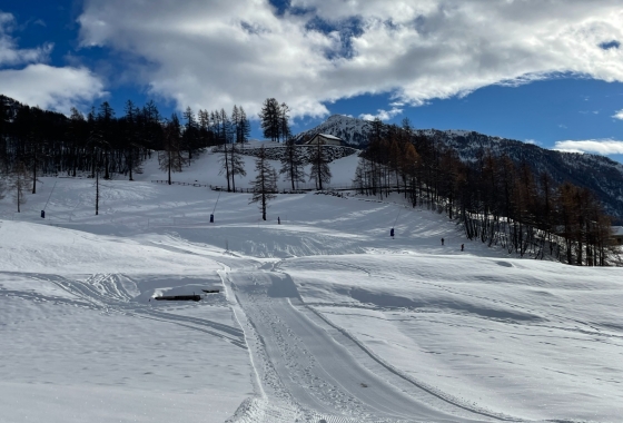 Sale - Chalet - Aosta - Valtournenche