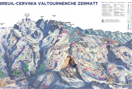 Sale - Chalet - Aosta - Valtournenche