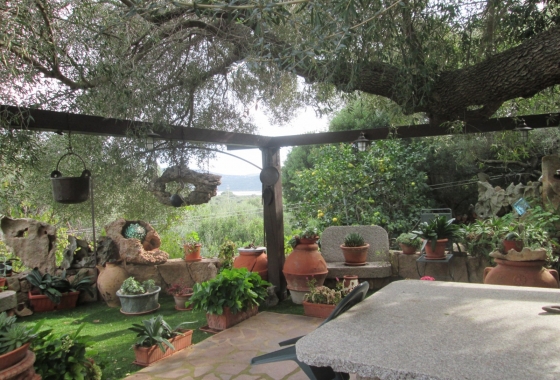 Sale - Detached - Porto Rotondo