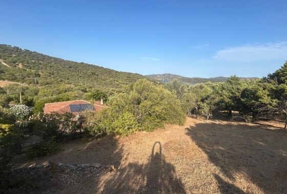 Sale - Detached - Porto Rotondo