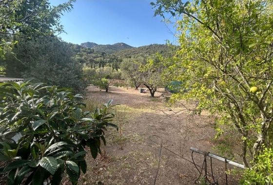 Sale - Detached - Porto Rotondo