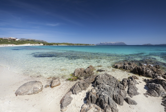Sale - Detached - Porto Rotondo