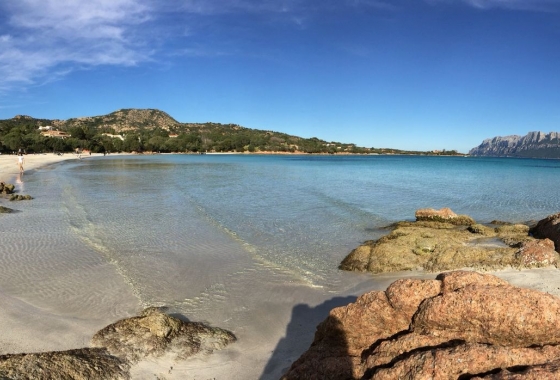 Sale - Detached - Porto Rotondo
