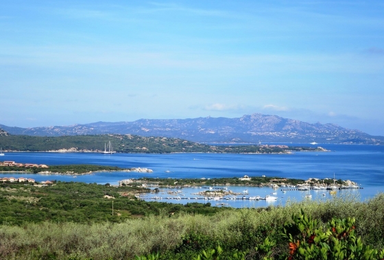 Sale - Detached - Porto Rotondo