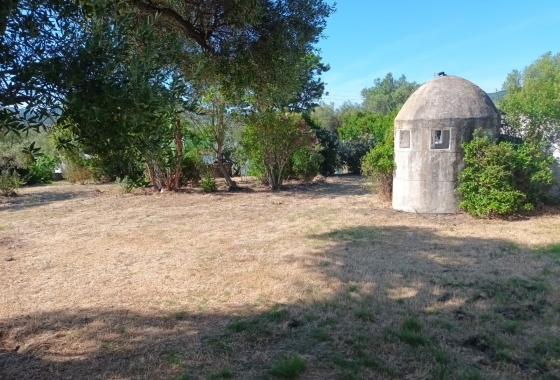 Sale - Detached - Porto Rotondo