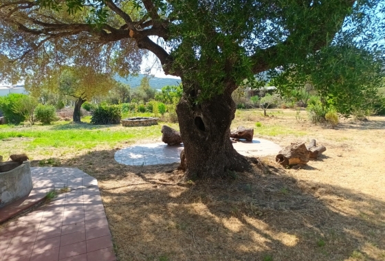 Sale - Detached - Porto Rotondo