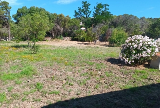 Sale - Detached - Porto Rotondo