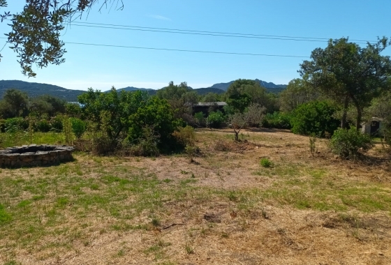 Sale - Detached - Porto Rotondo